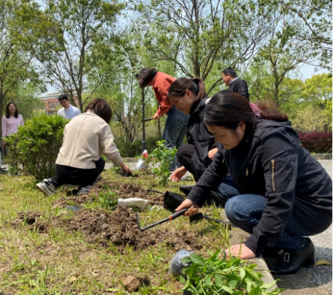 1618984177020090853.png image.png