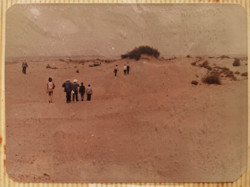 1640659979766001570.jpg 图3.jpg