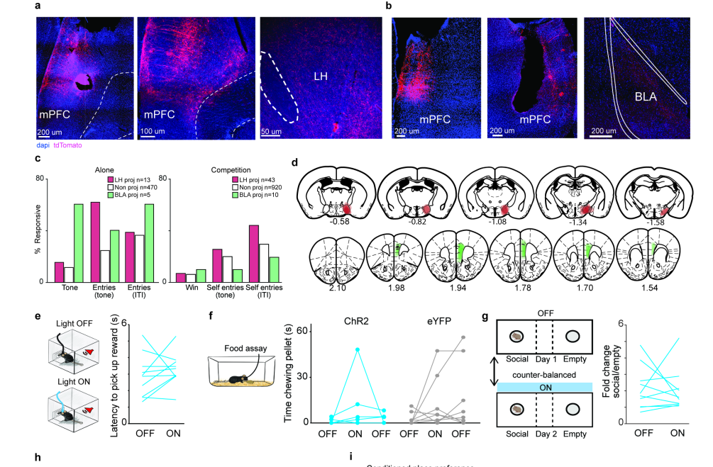 1649651974309096955.png 1.png