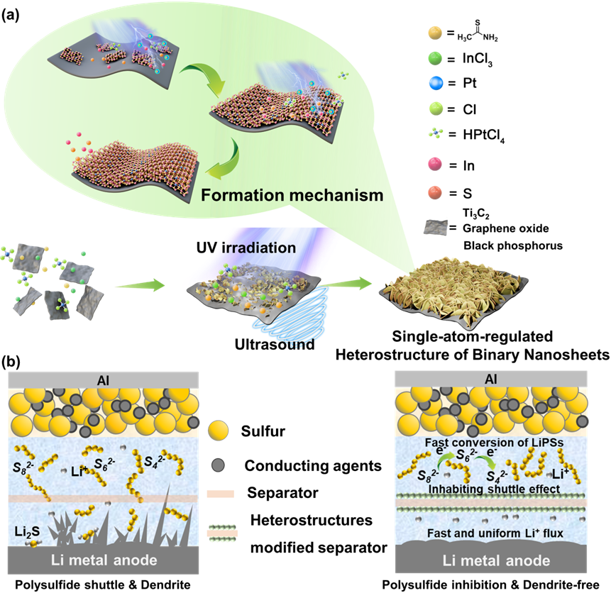 1658382158017095082.png 1.png